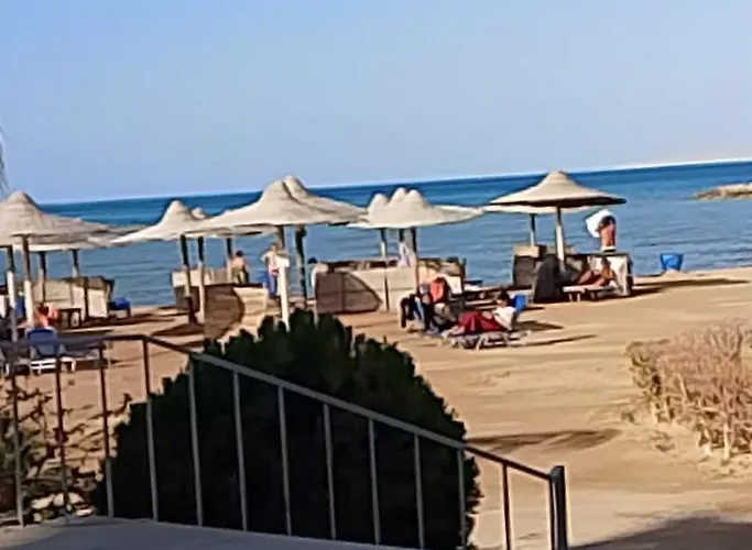 السلطانه وكفا Turtles -